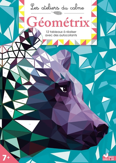 Couverture du livre Geometrix - cahier avec autocollants de Barbara Ward