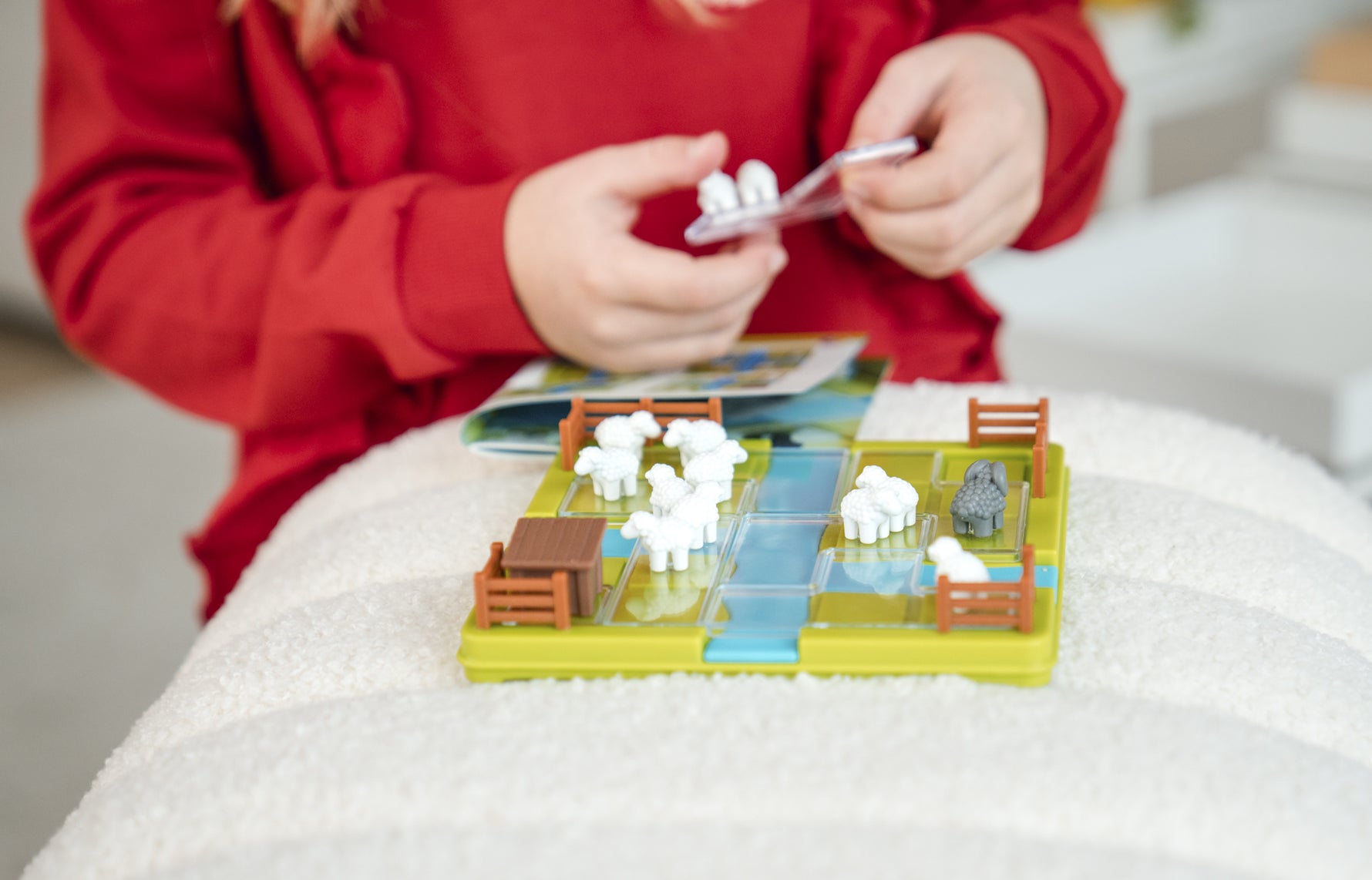 Dos du jeu Pose moutons - Chacun dans son pré !
