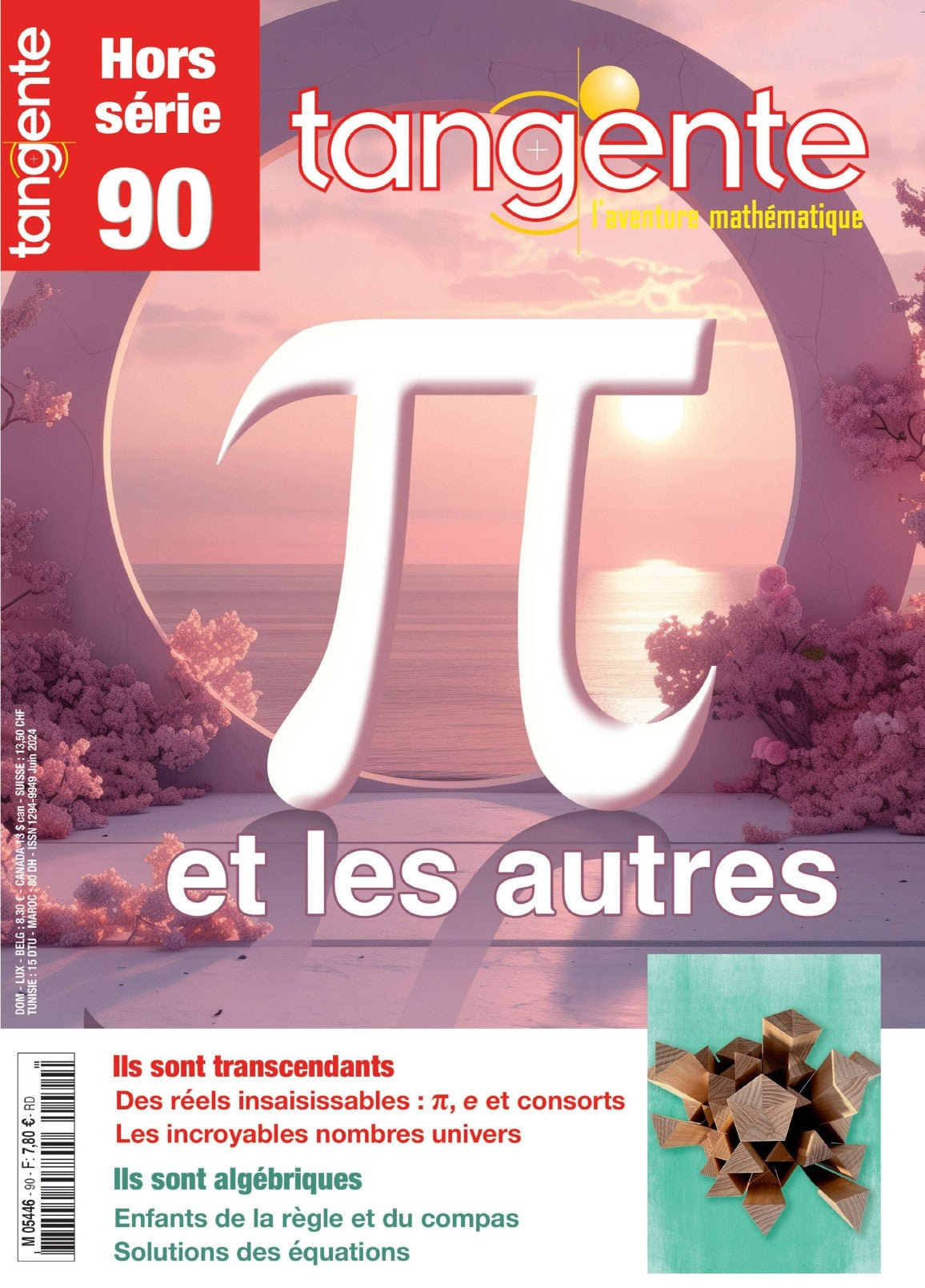 Couverture du magazine Tangente Hors-Série Thématique 90 - PI & les autres