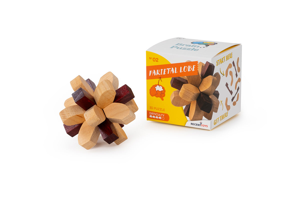 Produit Brain Puzzle N02: Parietal Lobe