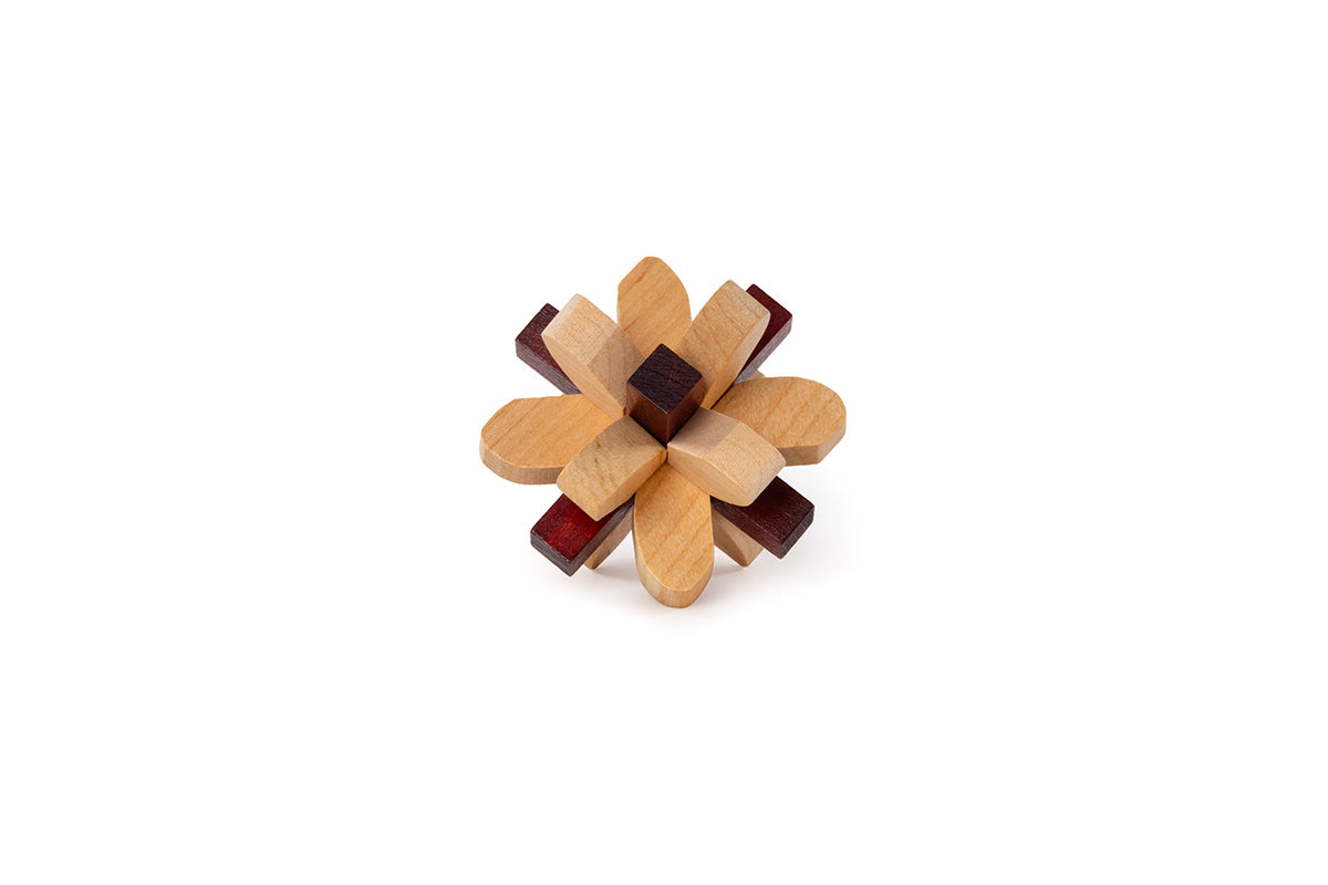 Dos du jeu Brain Puzzle N02: Parietal Lobe