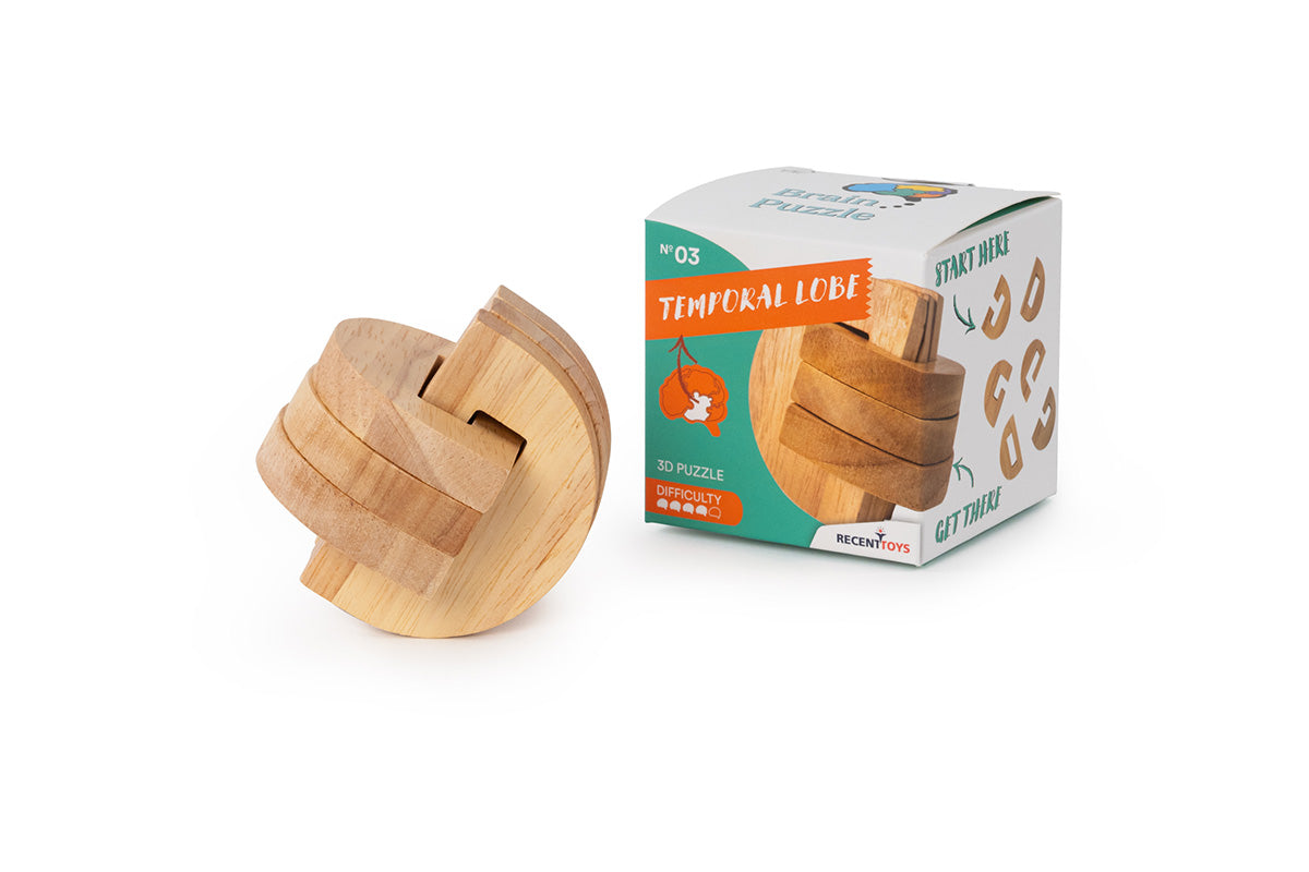 Produit Brain Puzzle N03: Temporal Lobe