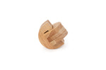 Dos du jeu Brain Puzzle N03: Temporal Lobe