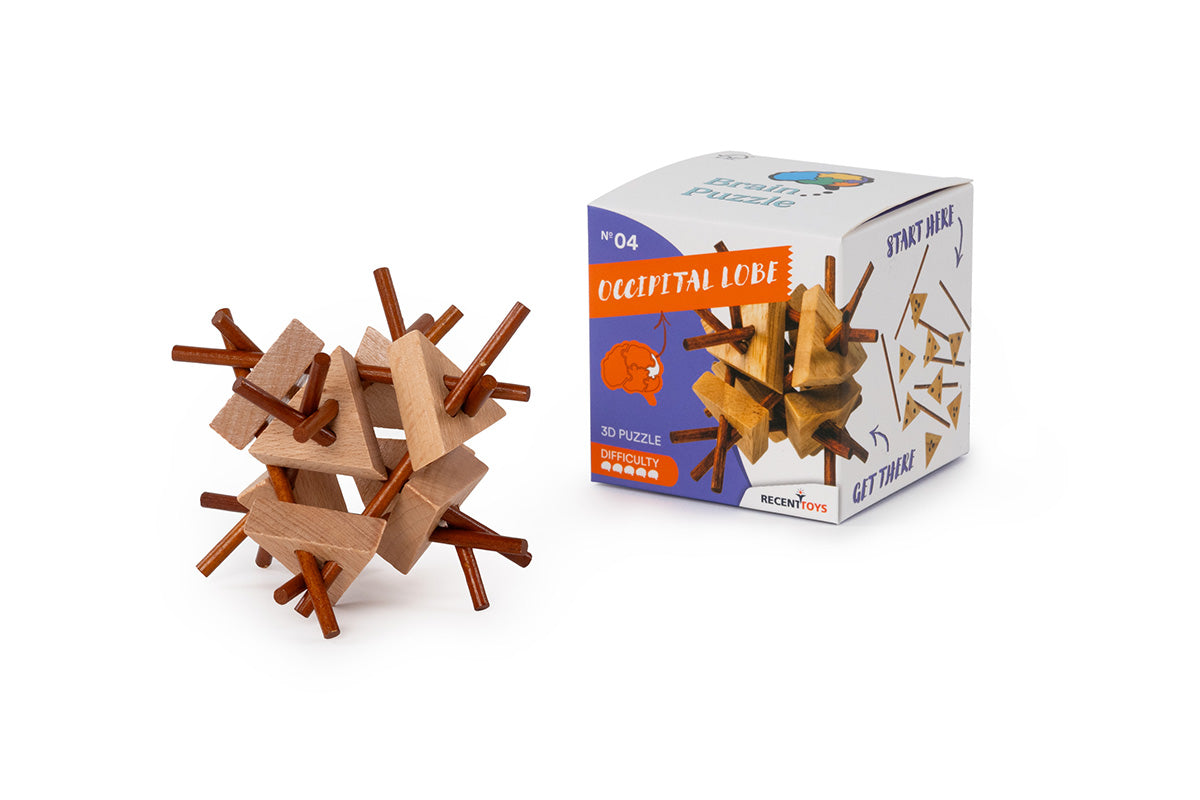 Produit Brain Puzzle N04: Occipital Lobe