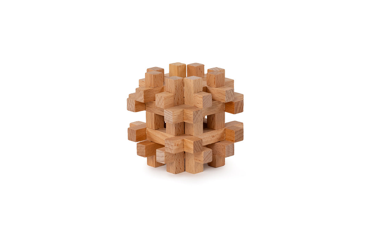 Dos du jeu Brain Puzzle N05: Cerebellum