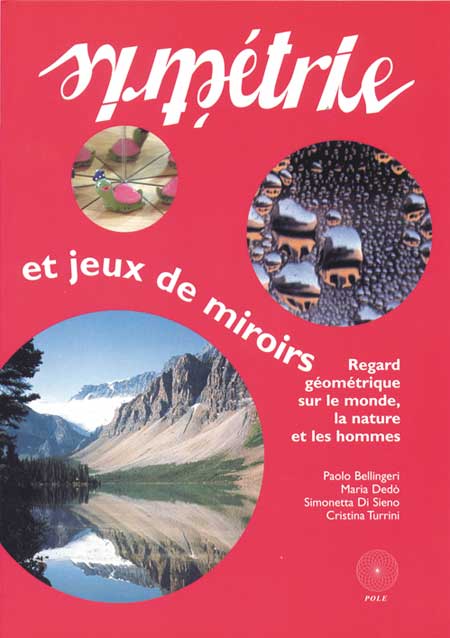 Couverture du livre Les symétries et jeux de miroirs de Paolo Bellingeri